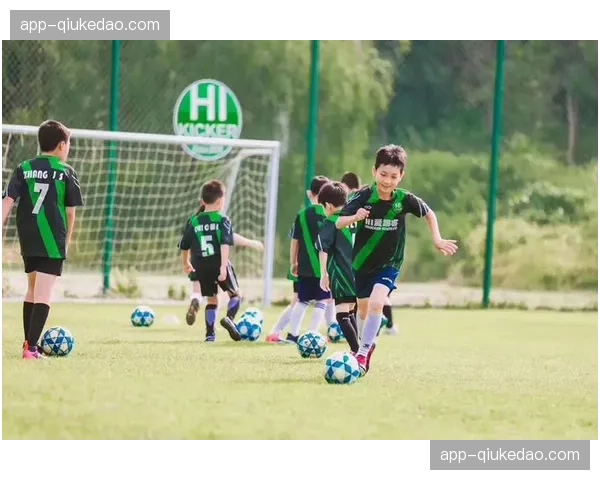 德甲联盟与德国足协联合推出青少年足球教练线上培训课程